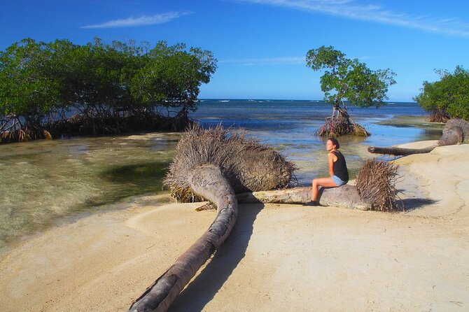 Full-Day at Los Haitises National Park - Exploring Los Haitises