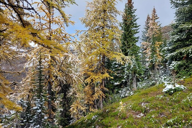 Full-Day Larch Hike, Departure From Banff - Recommended Gear