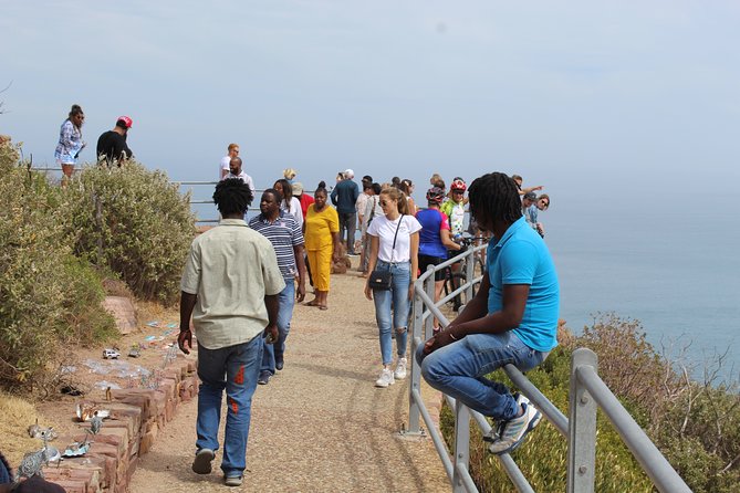 Full Day Visit to Cape Point Cape of Good Hope for Special Needs From Cape Town - Kirstenbosch Botanical Gardens