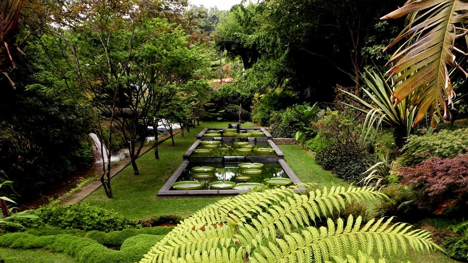 Furnas & Terra Nostra Botanic Park Guided Tour W/ Hotsprings - Diverse and Rare Plant Life