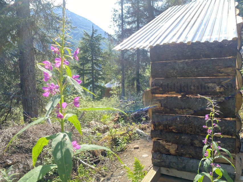 Glamping & Kayaking on Glacial Grant Lake in Wild Alaska - Arrival and Check-in