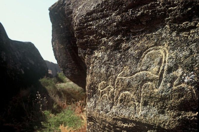 Gobustan National Park & Mud Volcanoes Tour - Exploring Gobustans Petroglyphs