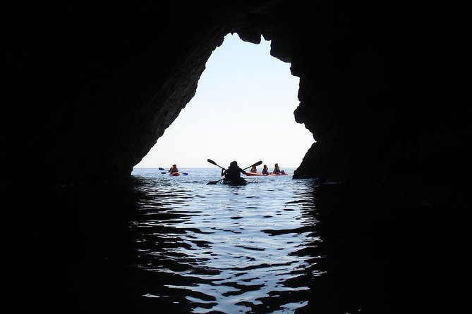 Half-Day Kayak Tour in Sesimbra - Learning About Geology, Flora, and Fauna