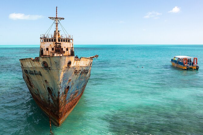 Half-Day Shipwrecks Tour and Floating Bar, Adults Only - Lunch Options