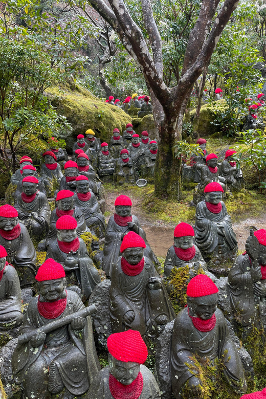 Hiroshima: Explore Miyajima Private Gem Tour Review - Local Insights and Recommendations