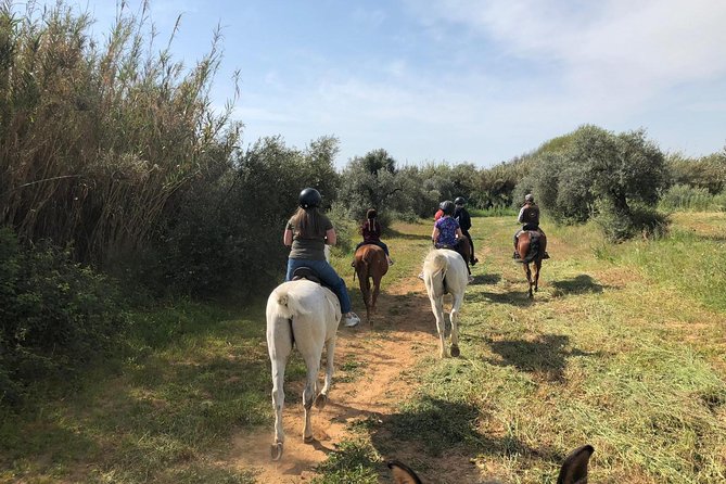 Horse Riding Excursion From Seville - Spotting Local Wildlife