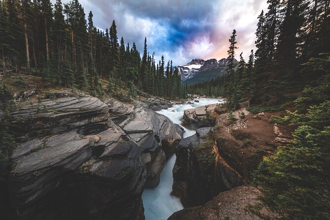 Icefields Parkway Highlights & Secrets | Award-Winning Adventure - Comfortable Transportation With Panoramic Views