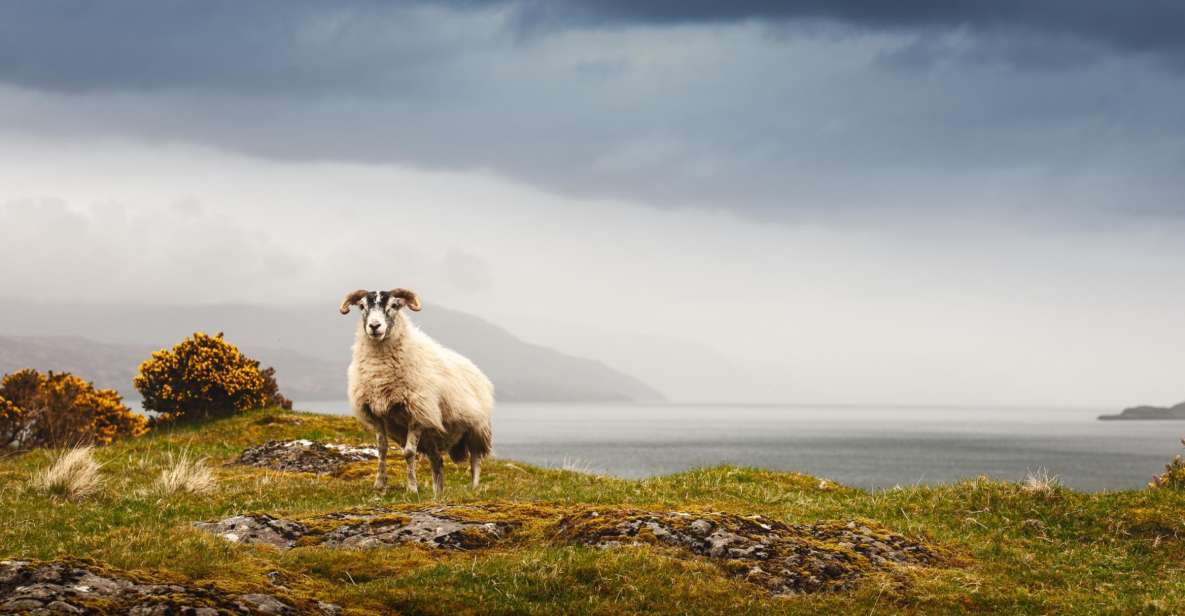 Iona, Mull, and Isle of Skye: 5-Day Tour From Edinburgh - Transportation and Ferries