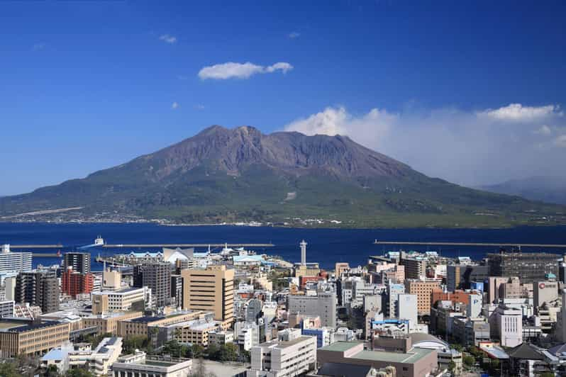 Kagoshima Half-Day Sightseeing Tour Review - Infant Policy