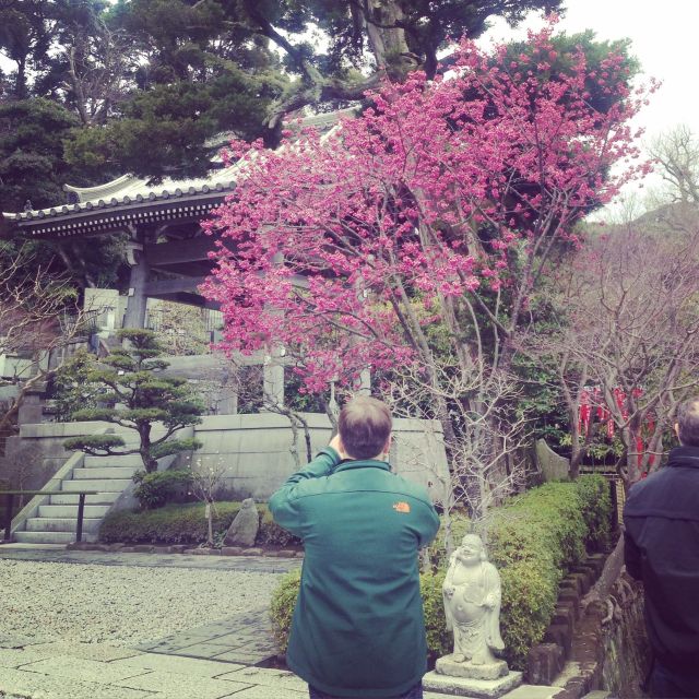 Kamakura: Great Buddha, Hase Temple, & Komachi Street Tour - Kamakuras Great Buddha