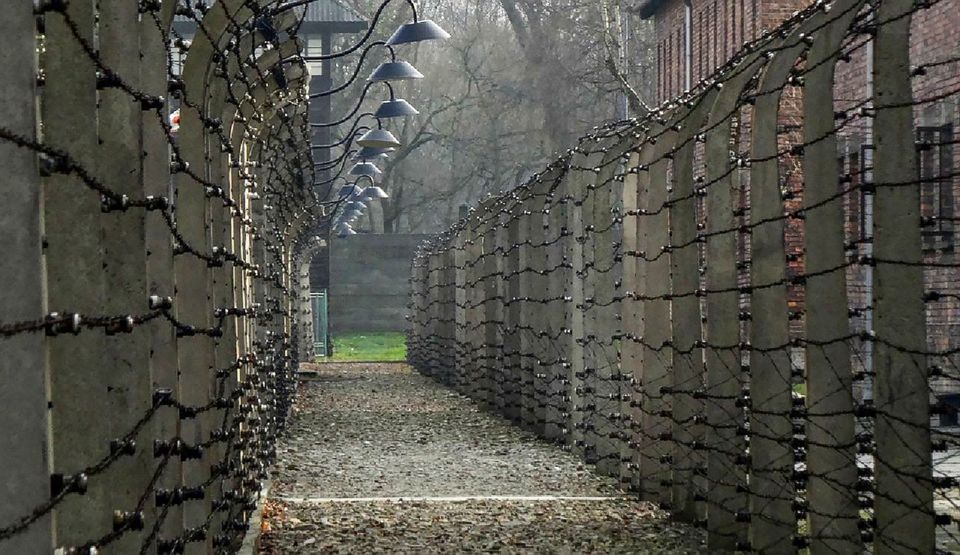 Krakow: Full-Day Auschwitz-Birkenau & Salt Mine Guided Tour - Pickup and Transportation