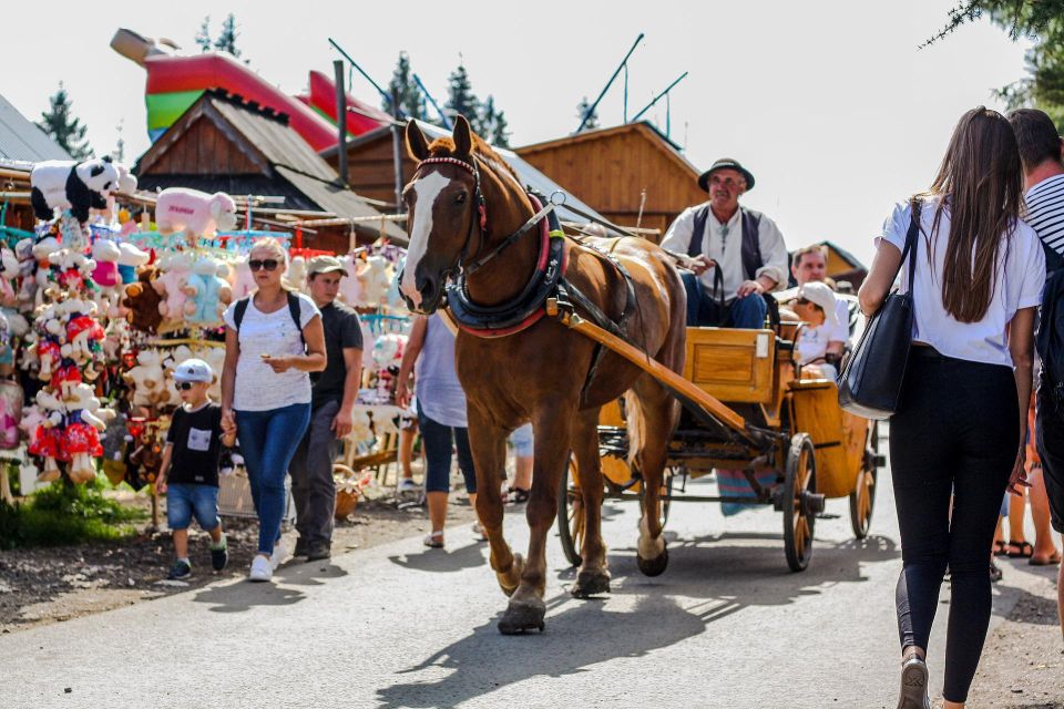 Krakow: Zakopane and Thermal Springs Tour & Hotel Pickup - Health Benefits of Thermal Waters