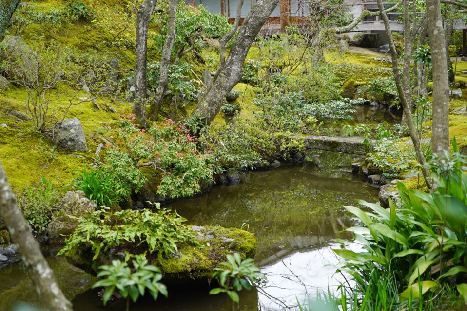 Kyoto: 5-Hour Arashiyama Walking Tour - Bamboo Forest Beauty