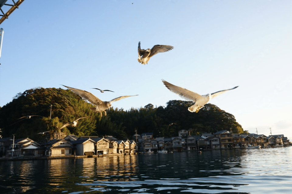 Kyoto: Amanohashidate and Ine Bay Private Trip - Transportation and Accessibility