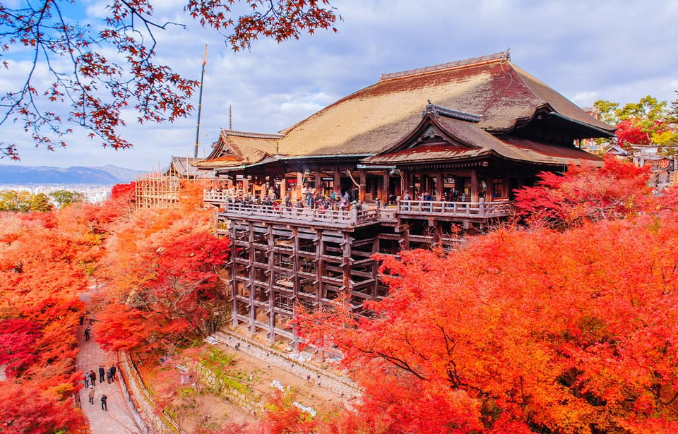 Kyoto One Day Tour: Kinkaku-Ji, Kiyomizu-Dera&Fushimi Inari - Important Information