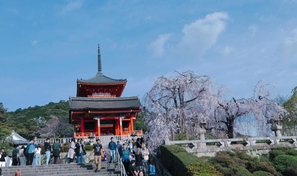 Kyoto Pontocho Food Tour Review - Availability and Cancellation