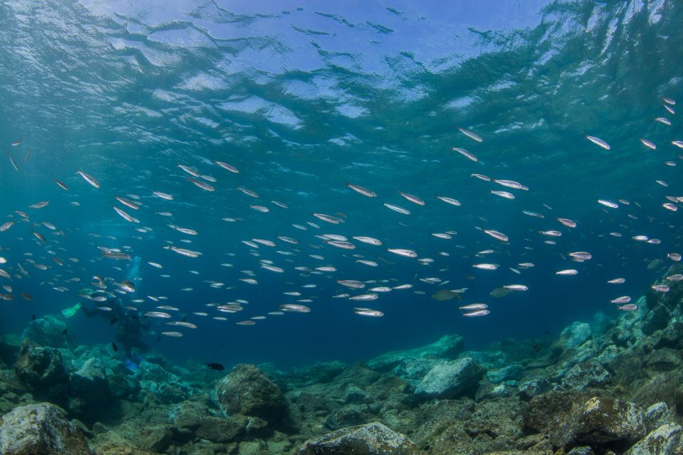 Lanzarote: Beginner Scuba Diving From the Beach - Booking Information