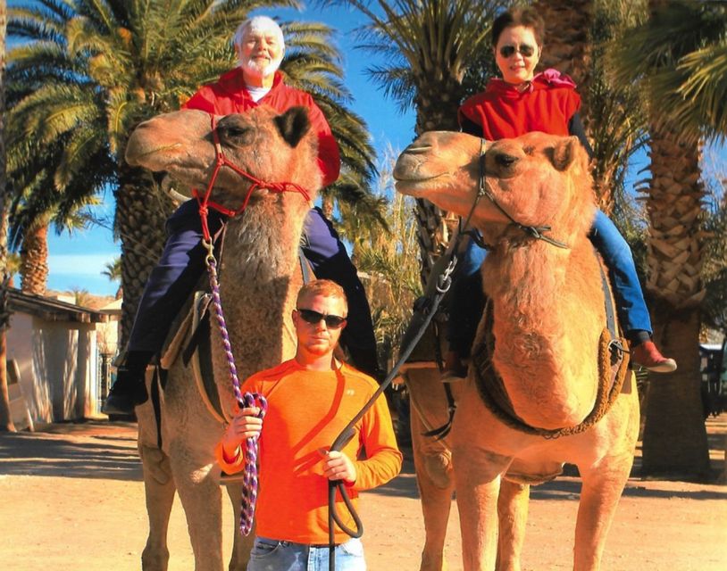 Las Vegas: Desert Camel Ride - Restrictions and Requirements