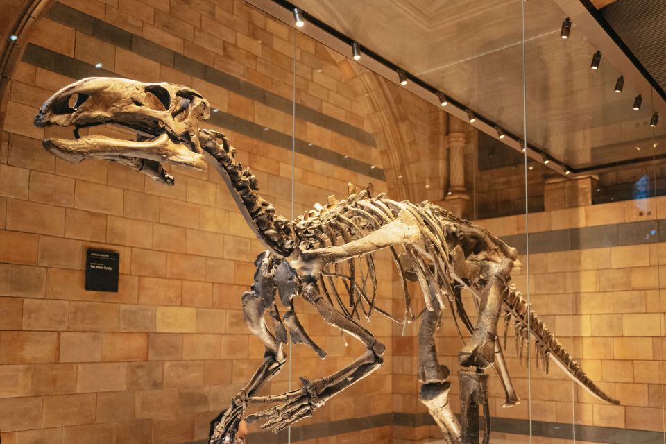 London: Natural History Museum Private Guided Family Tour - Arrival and Pacing