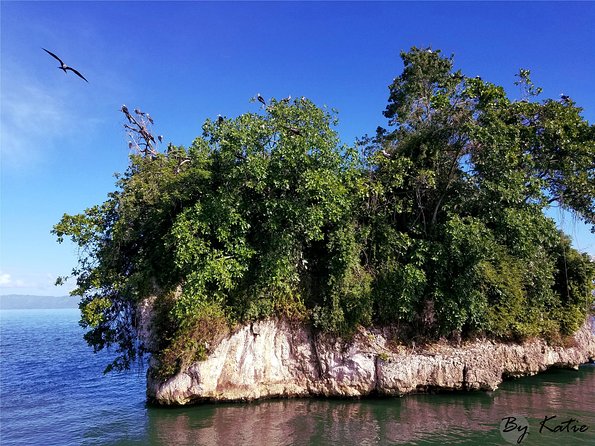 Los Haitises Plus Bacardi Island for Samana Cruise Ship Travelers - Booking and Cancellation