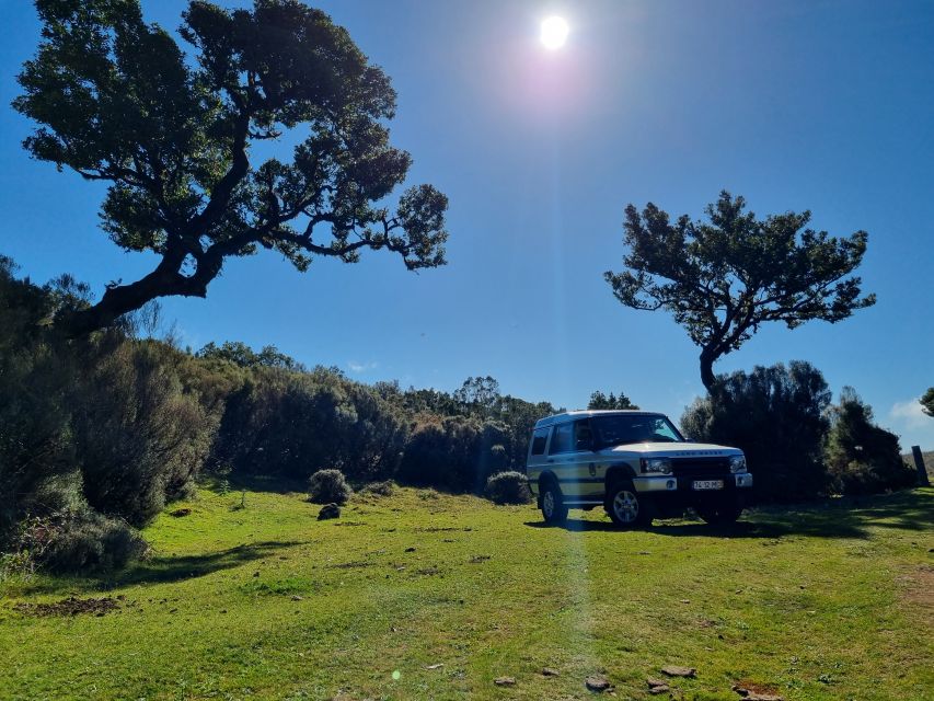 Madeira: SkyWalk, Fanal, Natural Pools 4x4 Jeep Tour - Fanal Pond