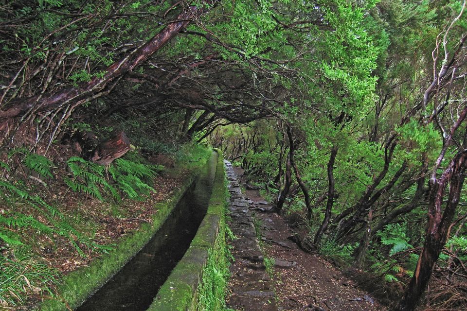 Madeira Walks - Rabaçal and the 25 Fountains - Language Availability