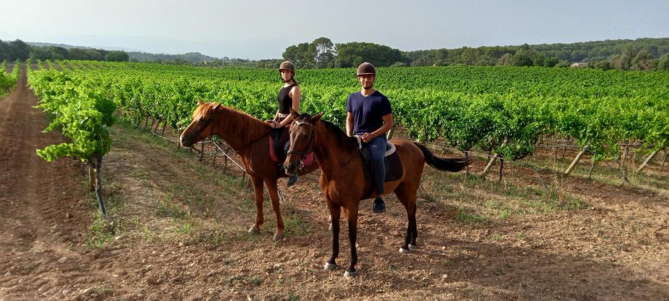 Mallorca: Mallorca Sunset, Randa Valley. - Scenic Trail Ride