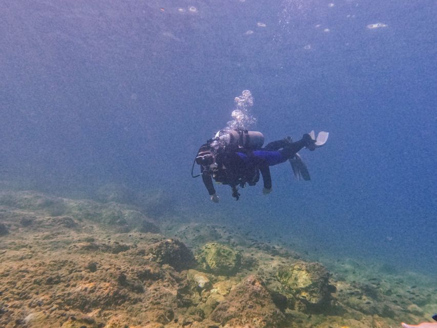 Mallorca: Private Beginner Scuba Dive With Photos and Video - Requirements and Restrictions