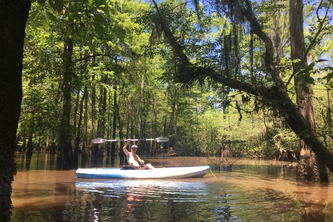 Manchac Swamp Kayak Small-Group Tour - Health Considerations