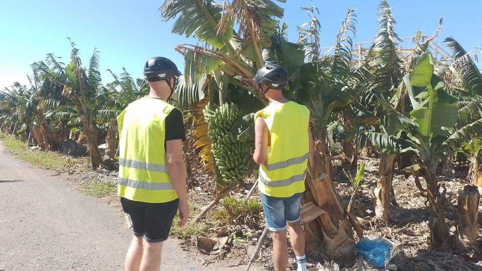 Maspalomas: Southern Coast E-Bike Tour Option Tapas Tasting - What to Bring