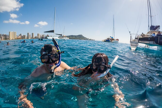 Moana's Guided Turtle Snorkel & Sailing Adventure at Waikiki - Reviews and Feedback