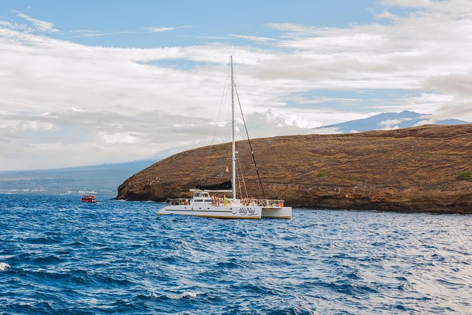 Molokini and Turtle Arches Snorkeling Trip From Maalaea Harbor - Traveler Feedback