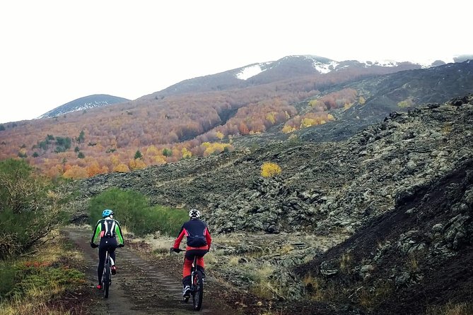 Mount Etna E-Bike Half-Day Tour - Exploring Lava Fields and Forests