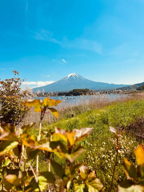 Mount Fuji Full Day Private Trip With English Speak Driver - Cancellation and Refund Policy