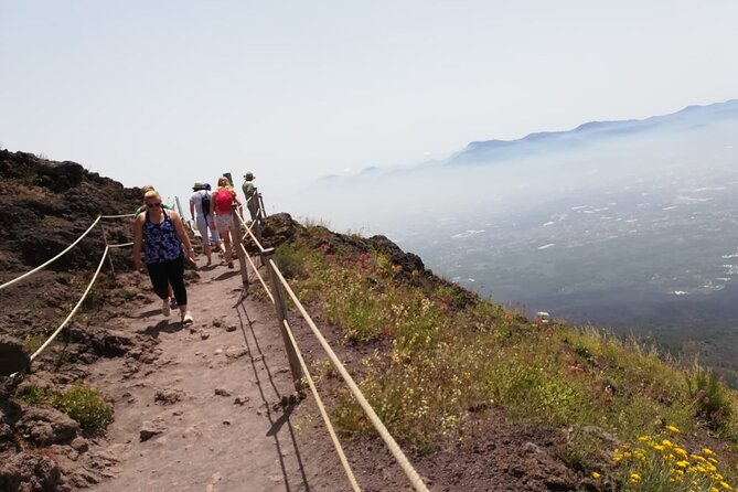 Mount Vesuvius Tour by Bus and Ticket Included From Ercolano - Booking Confirmation