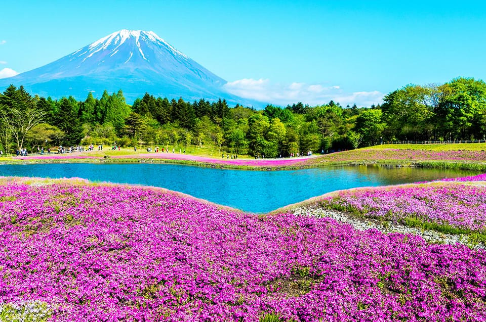 Mt.Fuji:Lake Kawaguchi,Yamanaka & Onsen Day Tour From Tokyo - Inclusions