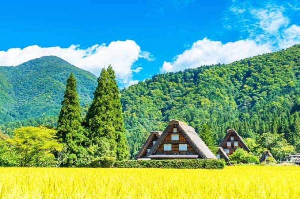 Nagoya Shirakawa-go Village and Takayama One Day Trip - Scenic Views of Shirakawa-go