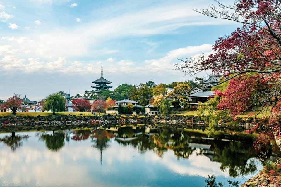 Nara Private Full Day Tour With a Culinary Guide - Reserve Now and Pay Later