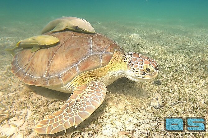 National Park Snorkeling Excursion - Additional Information