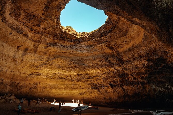 NEW Lagos-Watching Dolphins and Benagil Cave With Biologists - Dolphin Watching Highlights