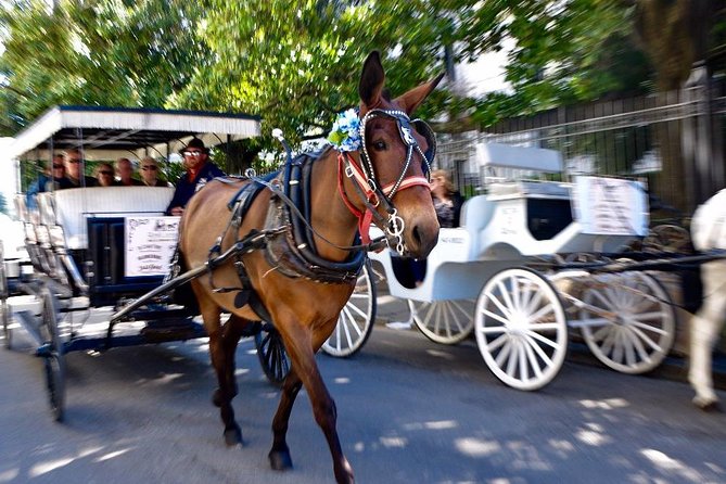 New Orleans French Quarter & More Carriage Ride - Meeting Point and Logistics