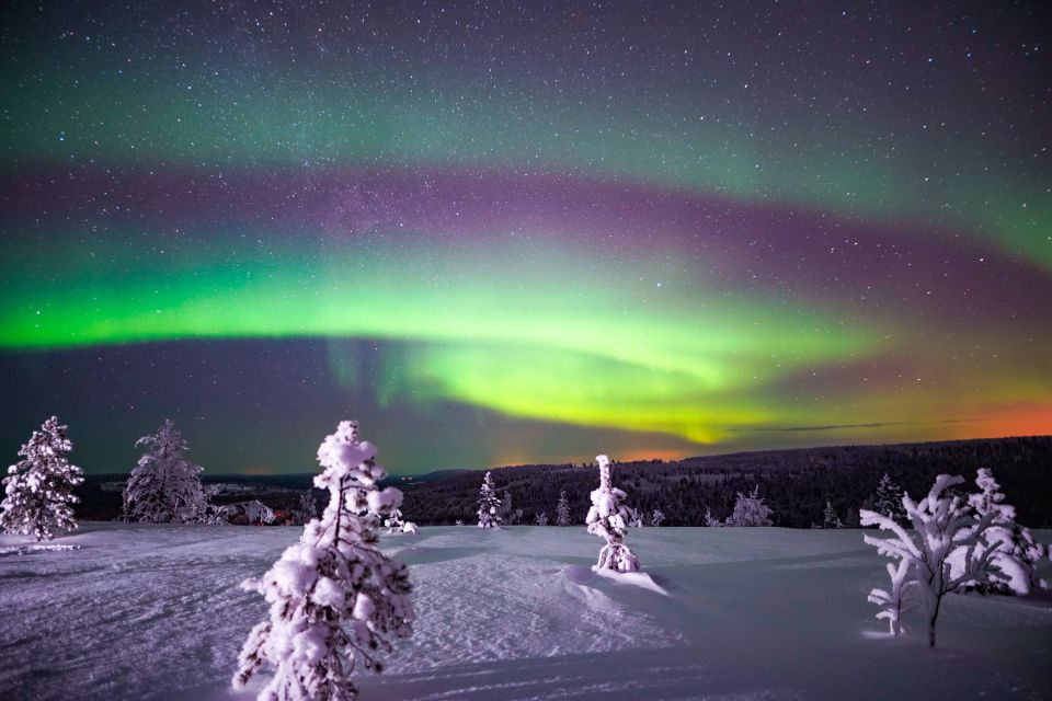 Night Snowshoeing Adventure Under the Northern Lights - Accessibility and Limitations