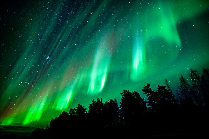 Northern Lights Hunting Adventure in Lapland - Reviews and Ratings