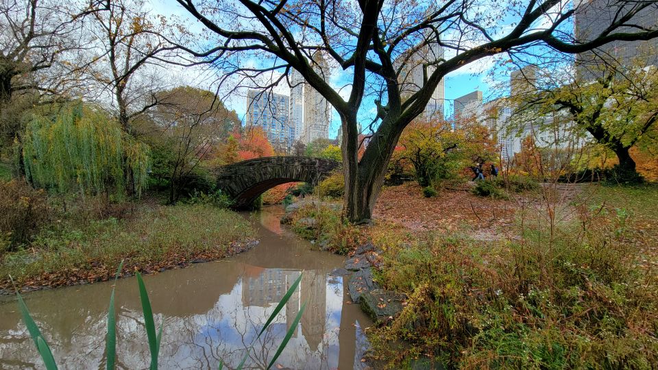 NYC: Central Park Secrets and Highlights Walking Tour - Live Performances