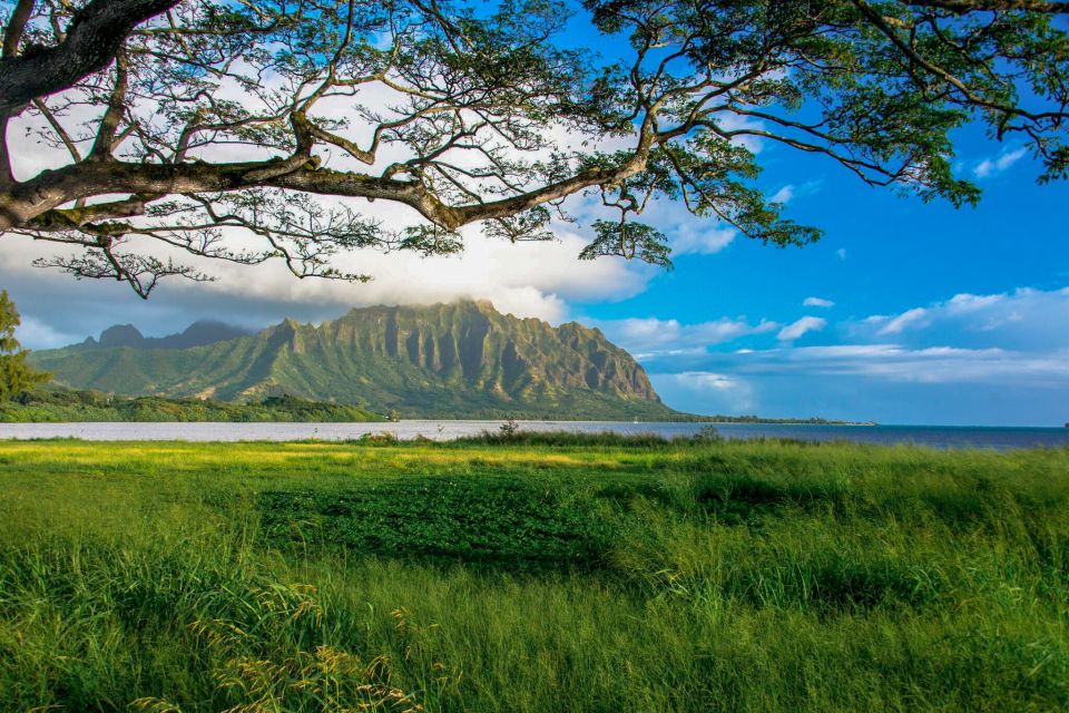 Oahu: 10-Hour Sunrise & Scenic View Points Photo Tour - Exploring North Shore