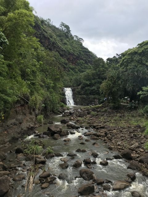 Oahu: Waimea Falls & North Shore Swim With Turtles Beach Day - Swimming in Waimea Waterfall