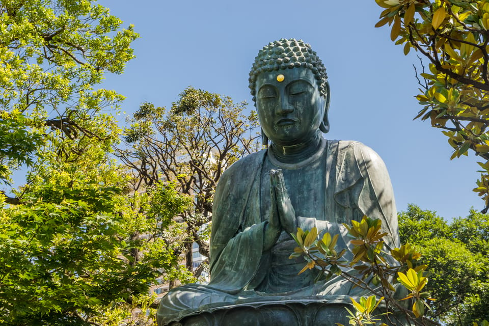 Old and Nostalgic Tokyo: Half-Day Yanaka Walking Tour - Getting to the Meeting Point