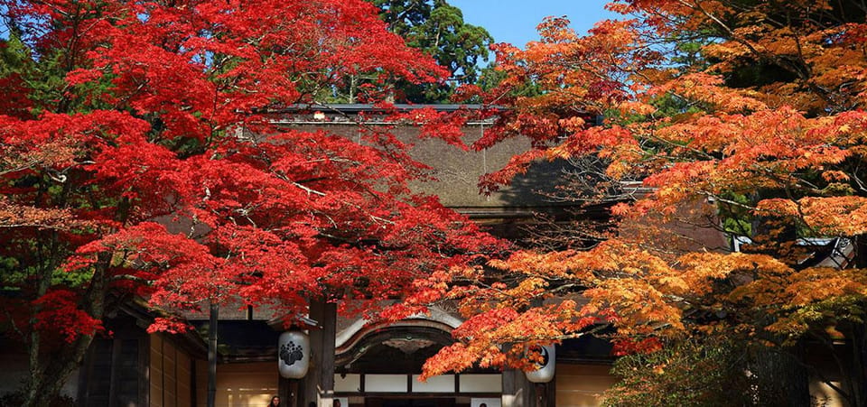 One Day Private Customized Self-Guided Tour in Wakayama - Exploring Wakayama Castle