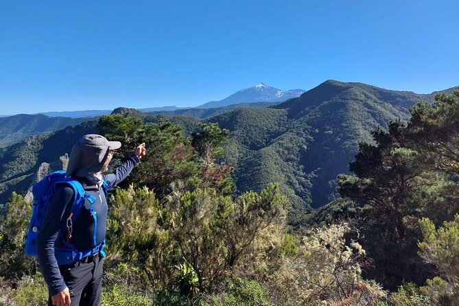 Panoramic Route Across the Teno Rural Park in Tenerife - Activity Requirements and Recommendations