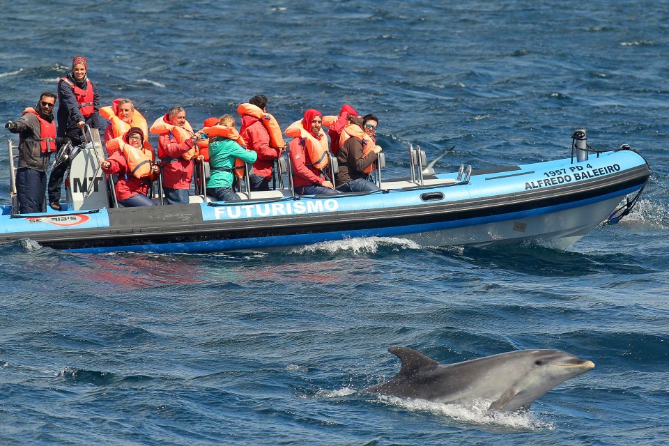 Pico Island: Whale Watching Boat Tour With Biologist Guides - Safety Considerations